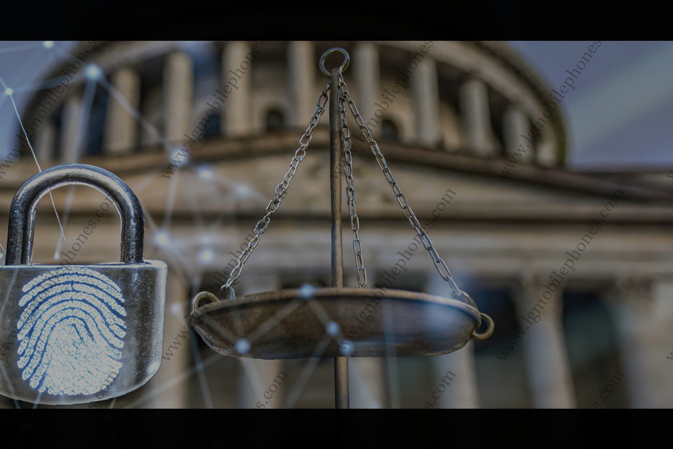 Cam Industry Legal Landscape: Direct Insights